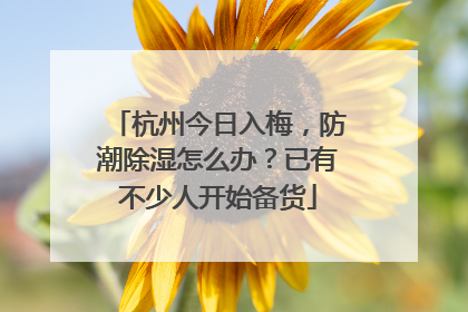 杭州今日入梅，防潮除湿怎么办？已有不少人开始备货